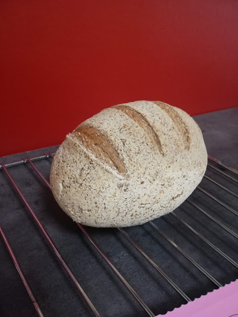 Univerzális kenyér 1